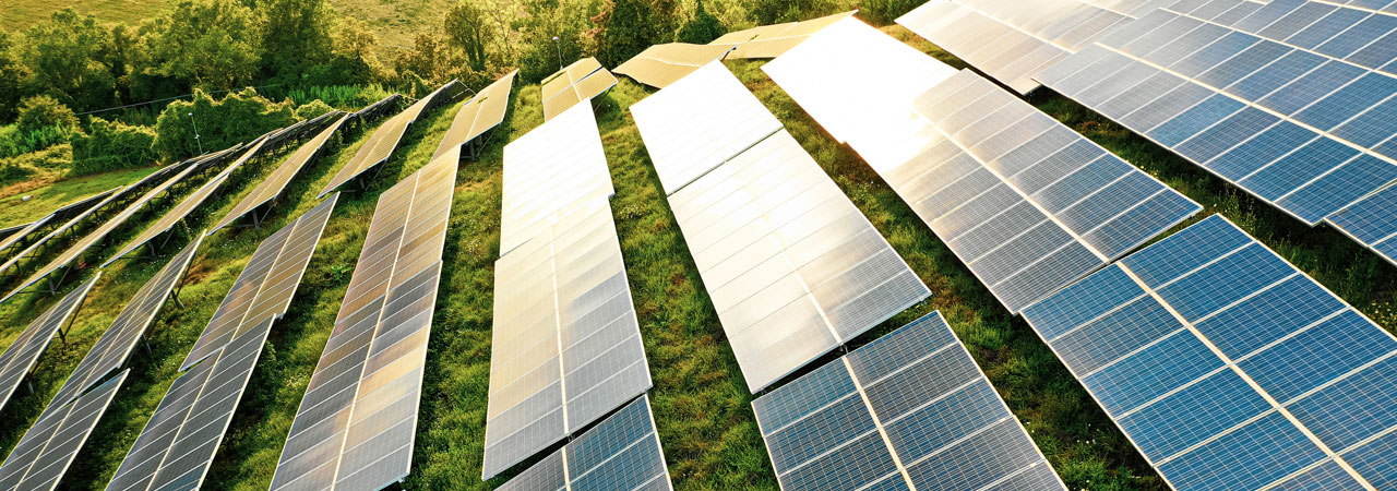 Solar panel farm surrounded by greenery